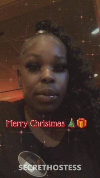 Bri 31Yrs Old Escort Milwaukee WI Image - 0