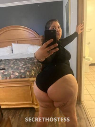 27 year old Escort in San Diego CA . fly miXed big bOoty bombshell .. incalls only in town for 