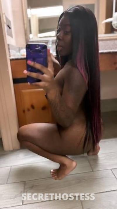 Chocolate🍫 20Yrs Old Escort Phoenix AZ Image - 1