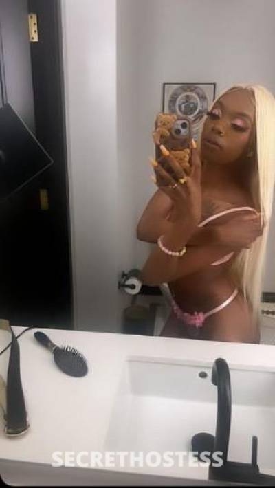 Diamond 23Yrs Old Escort San Jose CA Image - 1