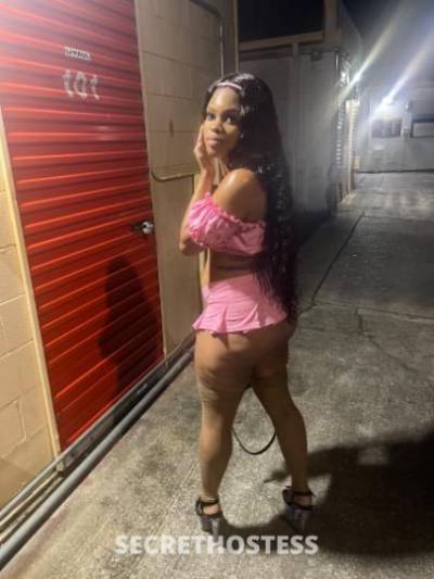 IVYBABY 21Yrs Old Escort Lafayette LA Image - 0