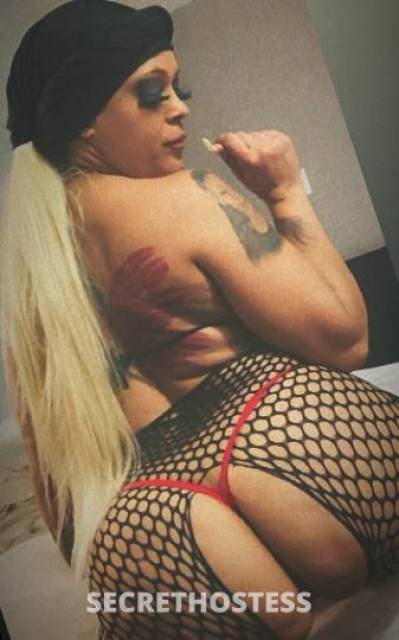 Katt 34Yrs Old Escort Phoenix AZ Image - 2