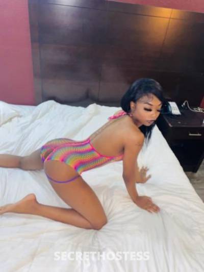 29 year old Escort in Columbia SC - Kay OUTCALLS ONLY