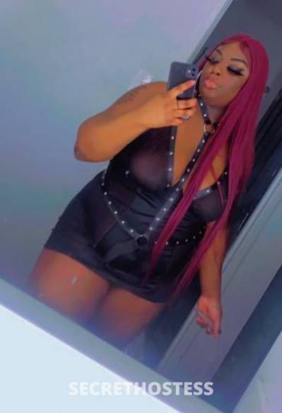 Mo3Chokolate 24Yrs Old Escort Memphis TN Image - 0