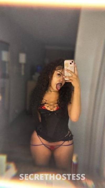 MollyStarr 20Yrs Old Escort Olympia WA Image - 1