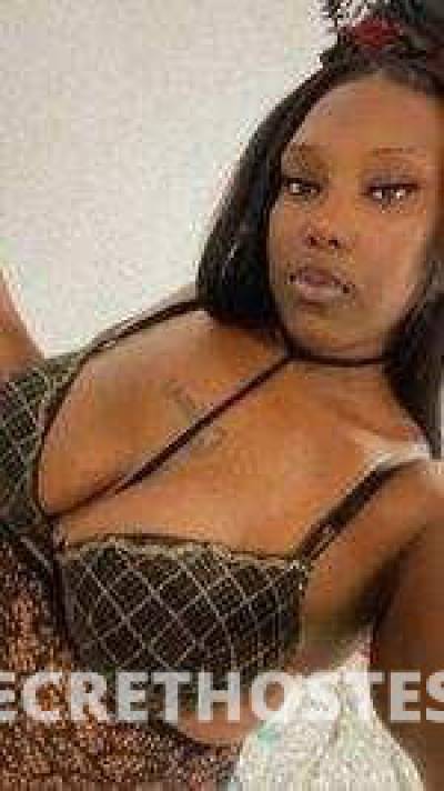 Monica 27Yrs Old Escort San Jose CA Image - 0