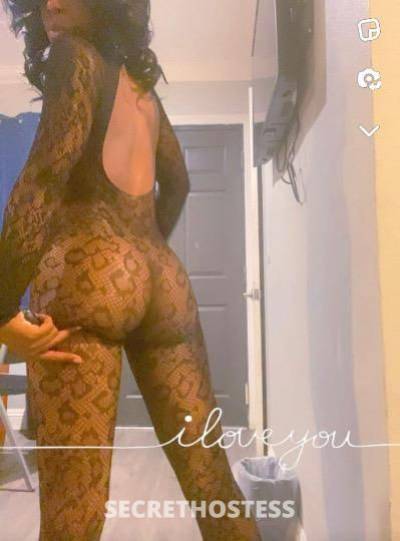 Ms.PrettyP 26Yrs Old Escort Los Angeles CA Image - 0