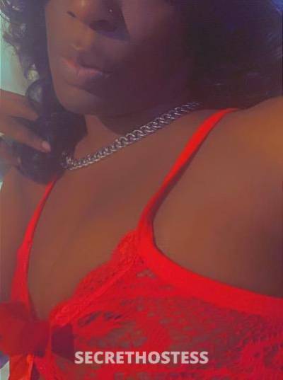 Ms.PrettyP 26Yrs Old Escort Los Angeles CA Image - 1