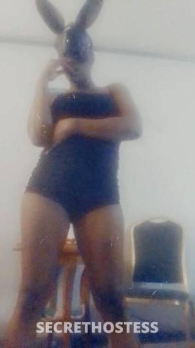 PUDDIN 32Yrs Old Escort Columbus GA Image - 1