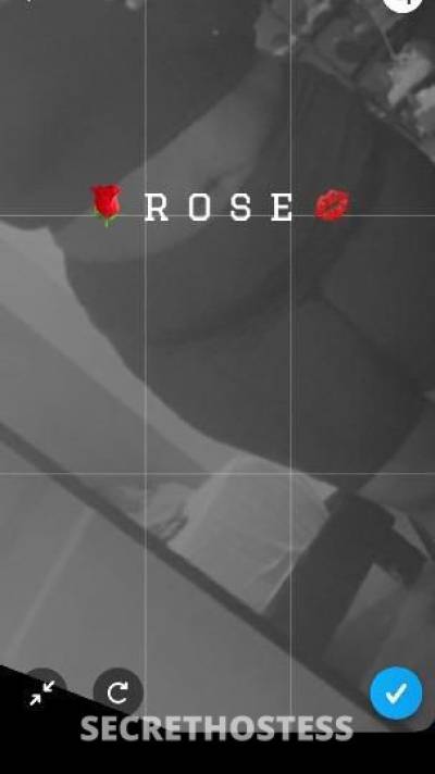 Rose 26Yrs Old Escort Staten Island NY Image - 2