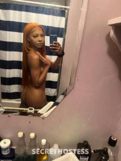 SUNNIBUNNI 23Yrs Old Escort New Orleans LA Image - 0