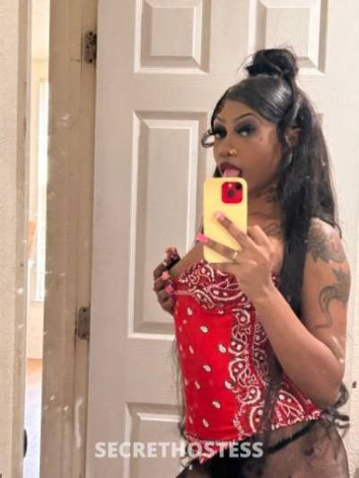 SapphireBlaze 21Yrs Old Escort 170CM Tall Oakland CA Image - 2