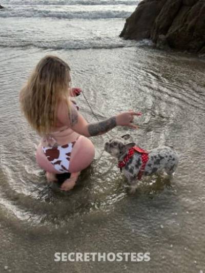 27 year old German Escort in Santa Cruz CA Sexy. curvy. German doll ready to serve your every want and 