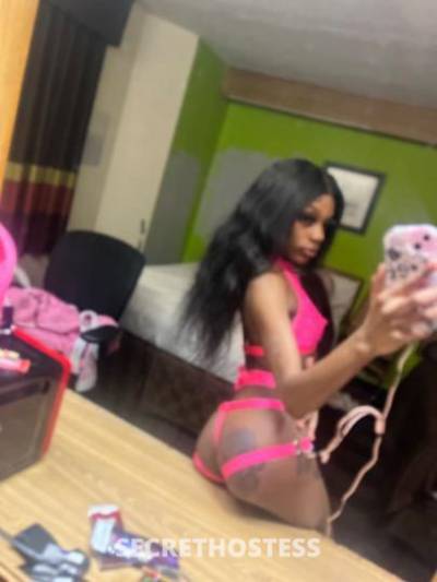 Stalli 22Yrs Old Escort Memphis TN Image - 1