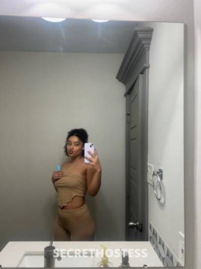 🍯🩷 23Yrs Old Escort Houston TX Image - 1