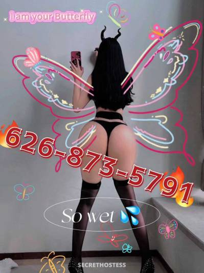 23Yrs Old Escort San Jose CA Image - 3