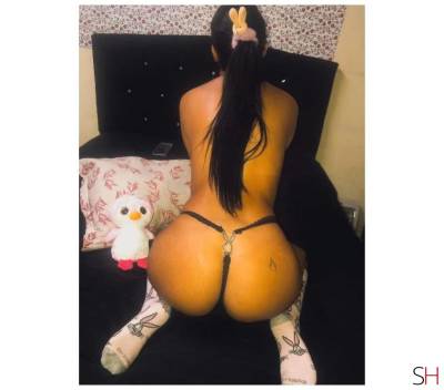 24Yrs Old Escort Paraná Image - 1