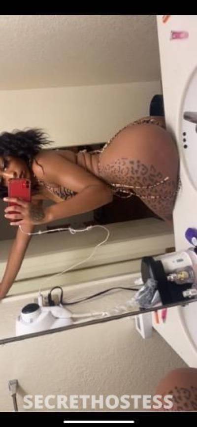 26 year old Escort in San Antonio TX PUURRRRR- fect .Tight GRIP available now