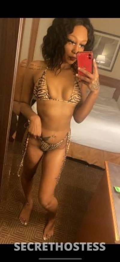 26Yrs Old Escort San Antonio TX Image - 2