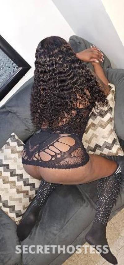 27Yrs Old Escort Bronx NY Image - 0