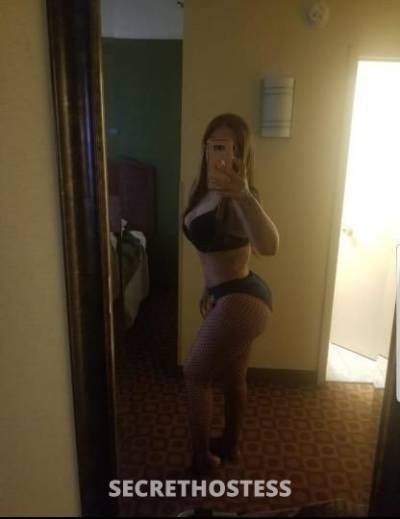 27Yrs Old Escort Westchester NY Image - 1