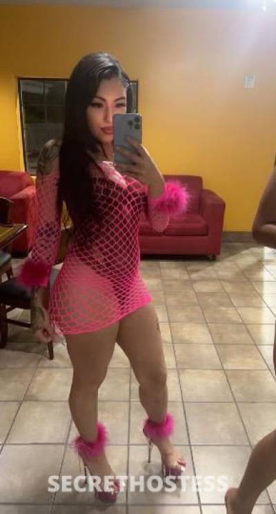 ..curvy cubanita mamacitaaaa in Little Rock AR