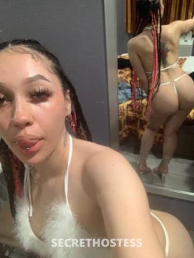 Alize 21Yrs Old Escort Bakersfield CA Image - 2