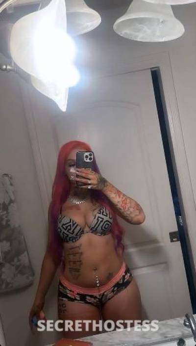 Ava 21Yrs Old Escort San Jose CA Image - 2