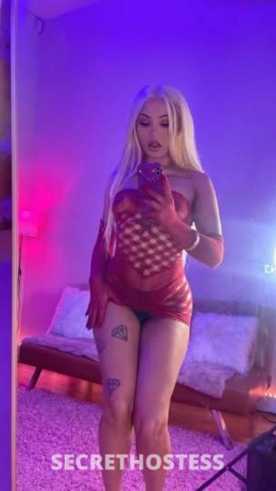 Bunny 23Yrs Old Escort Portland OR Image - 1