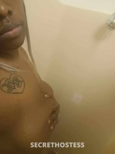 Coco 39Yrs Old Escort Macon GA Image - 0