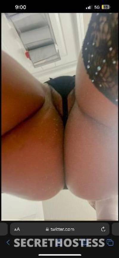 Cocochanel 24Yrs Old Escort Rochester NY Image - 1