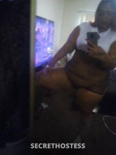 Creamy 27Yrs Old Escort Los Angeles CA Image - 2