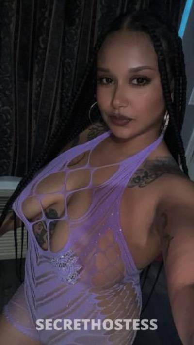 Diamond|Alexa 25Yrs Old Escort Los Angeles CA Image - 0