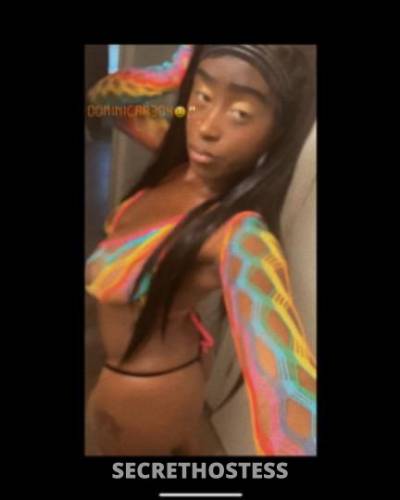 Dominica 21Yrs Old Escort Oakland CA Image - 0