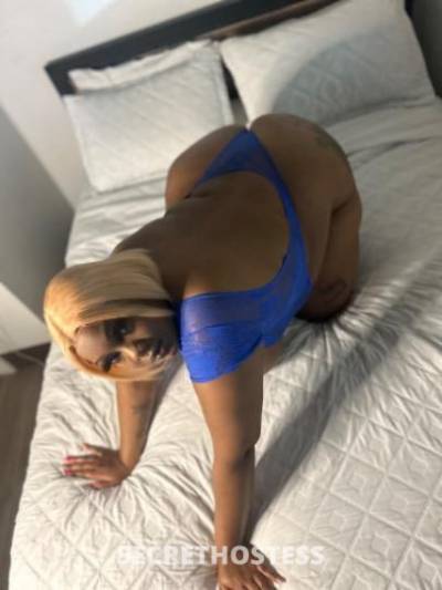 Fanci 25Yrs Old Escort Mid Cities TX Image - 1
