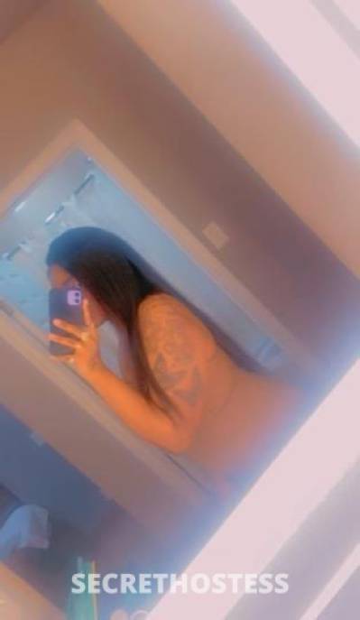 Hazel 22Yrs Old Escort Monterey CA Image - 1