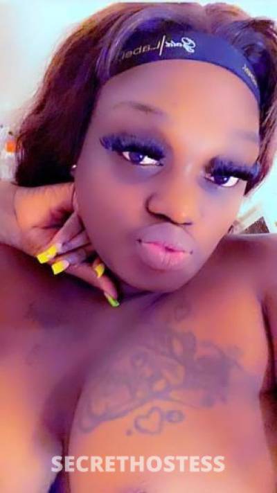 Kayla 23Yrs Old Escort Houston TX Image - 1