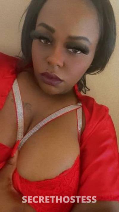 Kream 23Yrs Old Escort Clarksville TN Image - 1