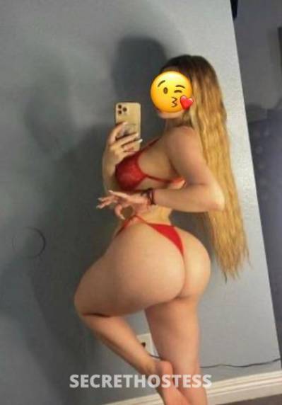 Latina 28Yrs Old Escort San Jose CA Image - 2