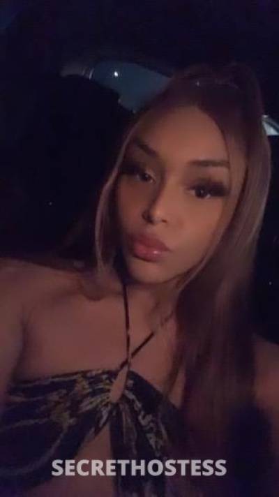 Nunu 21Yrs Old Escort San Jose CA Image - 2