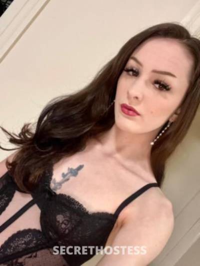 24 Year Old Escort San Francisco CA - Image 1