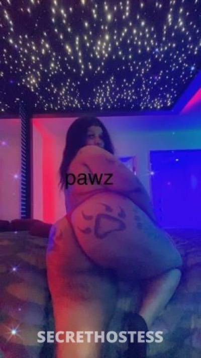 PAWZ 27Yrs Old Escort Detroit MI Image - 0