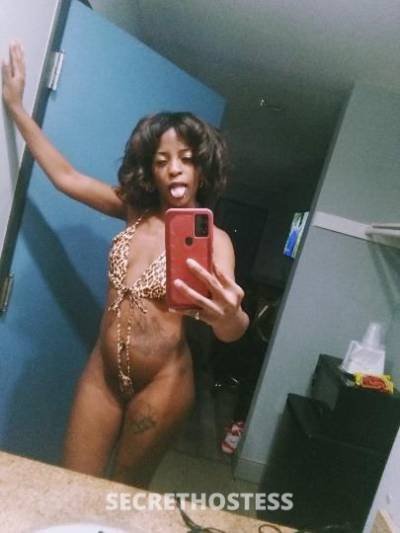 Peaches 22Yrs Old Escort Los Angeles CA Image - 2