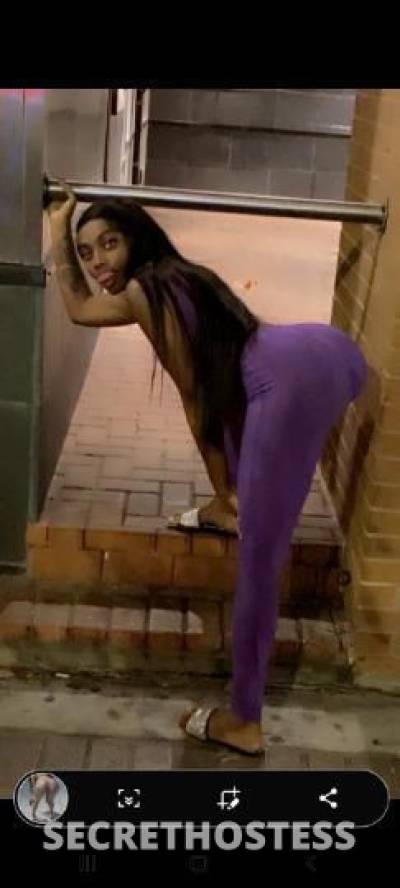 Pebbles 26Yrs Old Escort New Orleans LA Image - 1