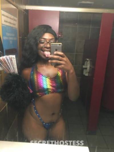 Pressure 27Yrs Old Escort Houston TX Image - 2