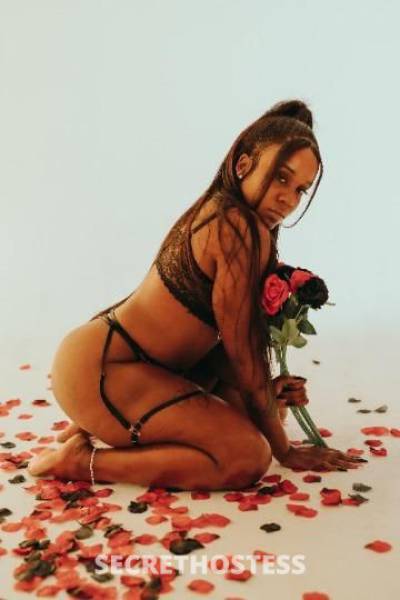 RoseMonet 28Yrs Old Escort San Fernando Valley CA Image - 1