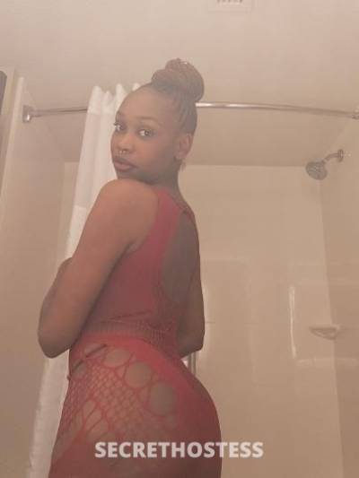 Siren 26Yrs Old Escort Denver CO Image - 1