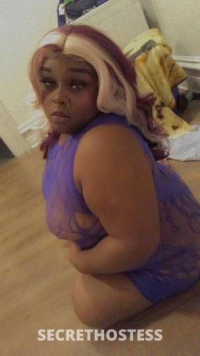 Stormy 31Yrs Old Escort Toledo OH Image - 1
