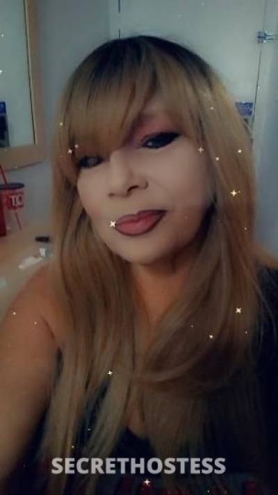 TERINICOLE 49Yrs Old Escort Odessa TX Image - 1