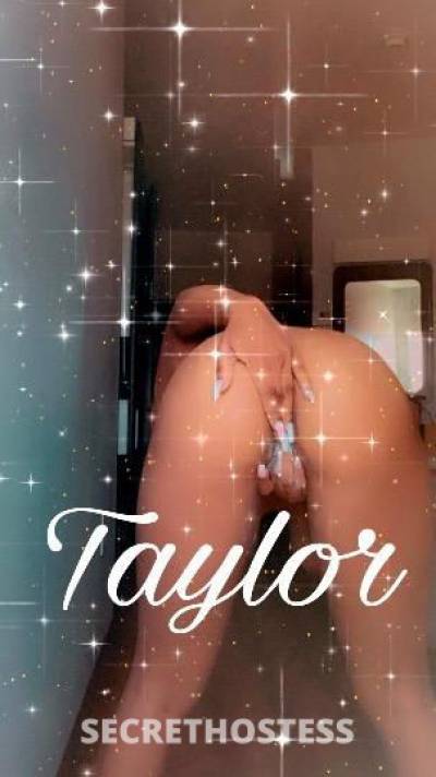 Taylor 23Yrs Old Escort Shreveport LA Image - 1